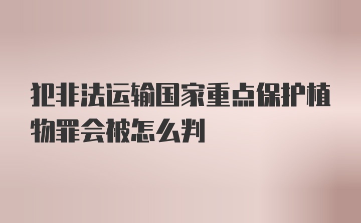 犯非法运输国家重点保护植物罪会被怎么判