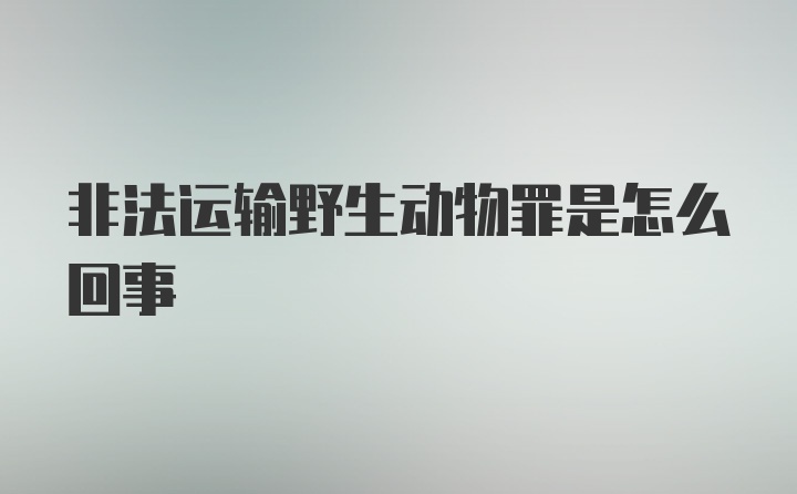 非法运输野生动物罪是怎么回事