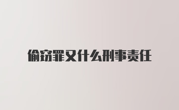 偷窃罪又什么刑事责任