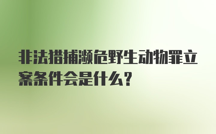 非法猎捕濒危野生动物罪立案条件会是什么？