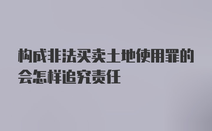 构成非法买卖土地使用罪的会怎样追究责任