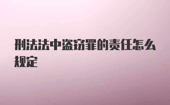 刑法法中盗窃罪的责任怎么规定