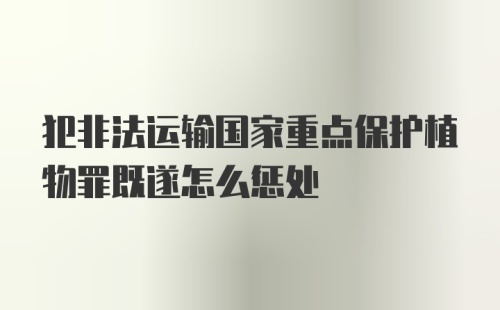 犯非法运输国家重点保护植物罪既遂怎么惩处