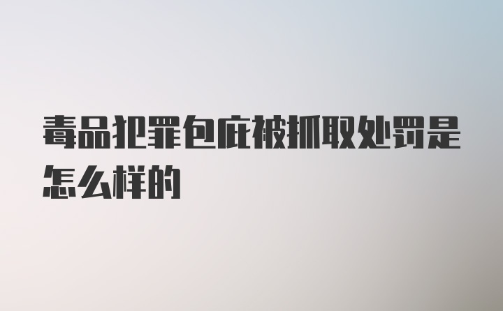 毒品犯罪包庇被抓取处罚是怎么样的