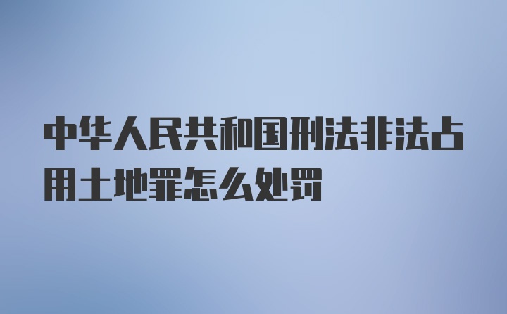 中华人民共和国刑法非法占用土地罪怎么处罚