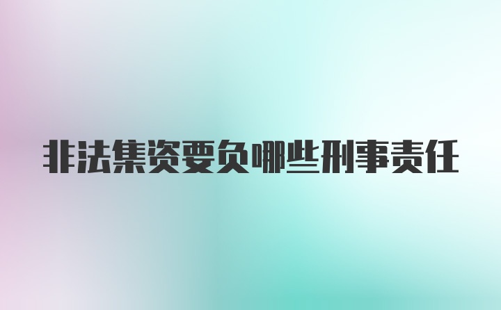 非法集资要负哪些刑事责任