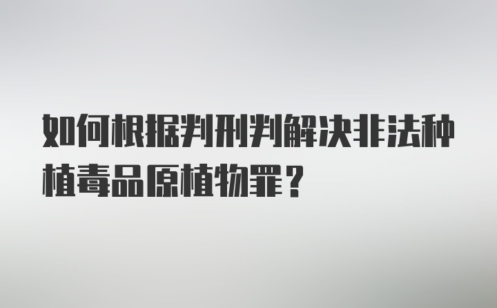 如何根据判刑判解决非法种植毒品原植物罪？