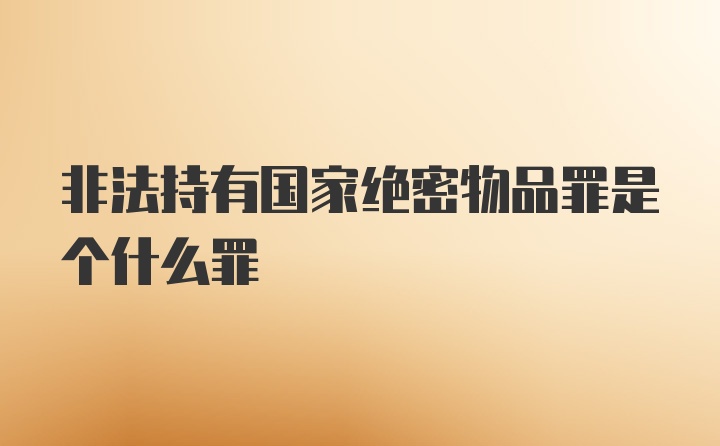 非法持有国家绝密物品罪是个什么罪