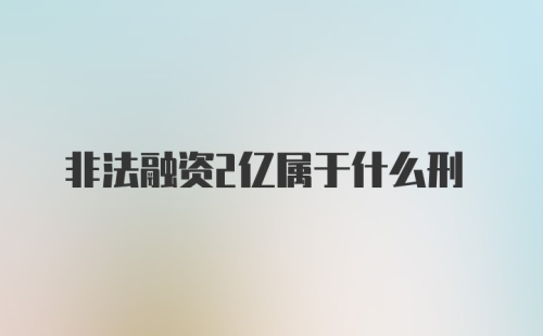 非法融资2亿属于什么刑