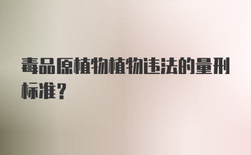 毒品原植物植物违法的量刑标准？