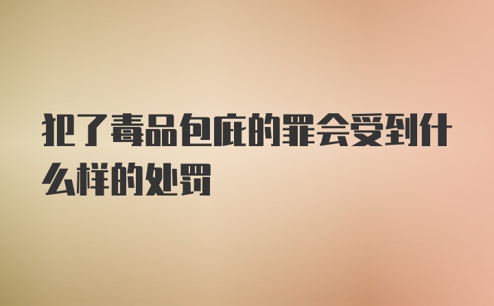 犯了毒品包庇的罪会受到什么样的处罚