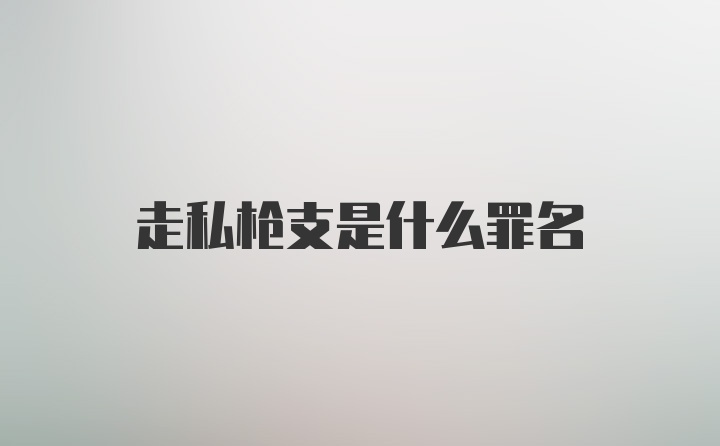 走私枪支是什么罪名