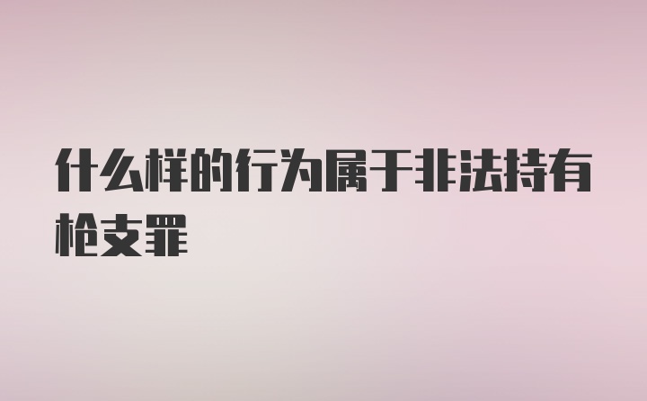 什么样的行为属于非法持有枪支罪