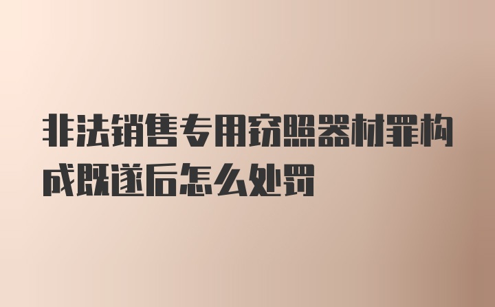 非法销售专用窃照器材罪构成既遂后怎么处罚