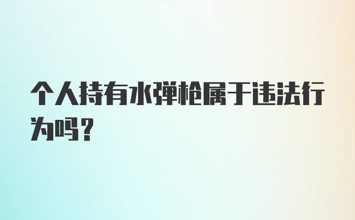 个人持有水弹枪属于违法行为吗？