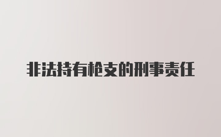 非法持有枪支的刑事责任