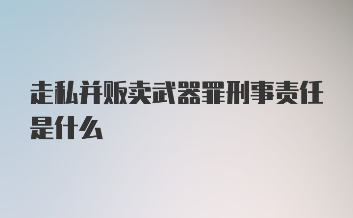 走私并贩卖武器罪刑事责任是什么