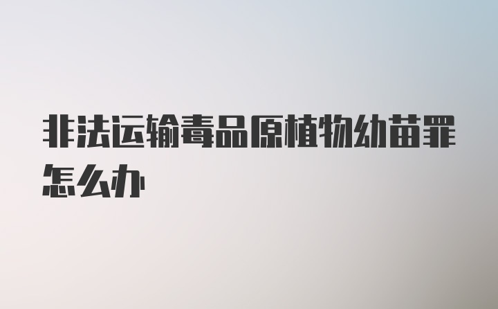 非法运输毒品原植物幼苗罪怎么办