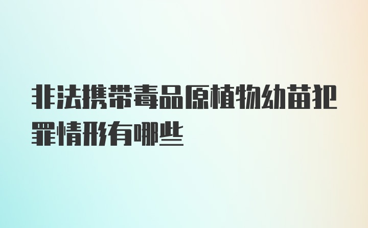 非法携带毒品原植物幼苗犯罪情形有哪些