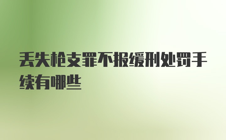 丢失枪支罪不报缓刑处罚手续有哪些