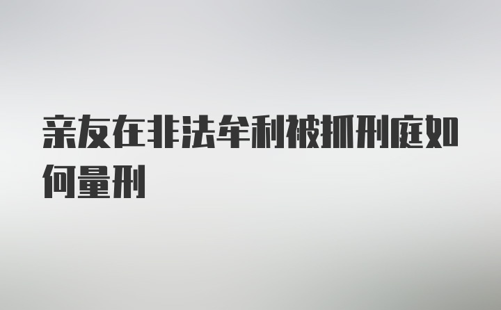 亲友在非法牟利被抓刑庭如何量刑