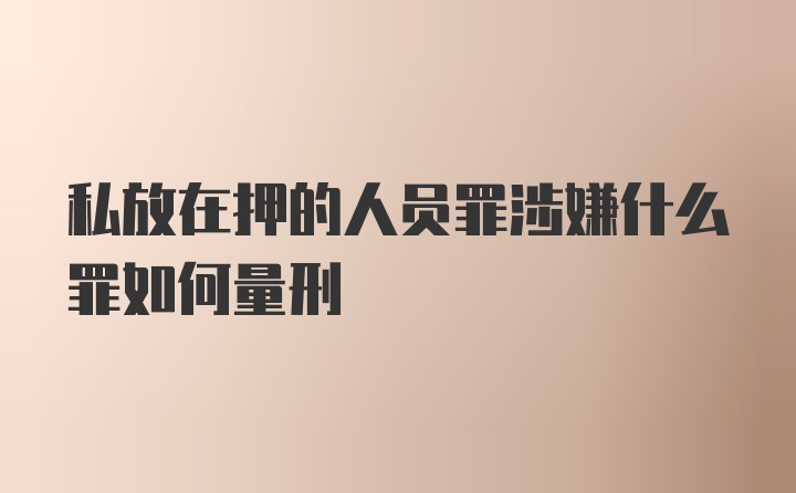 私放在押的人员罪涉嫌什么罪如何量刑