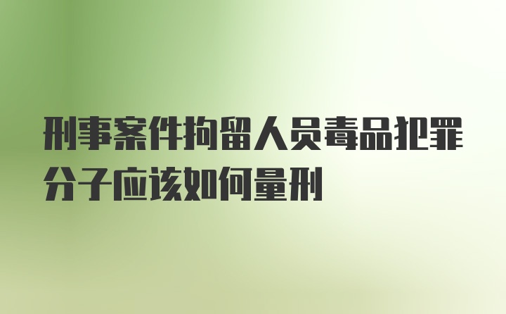 刑事案件拘留人员毒品犯罪分子应该如何量刑