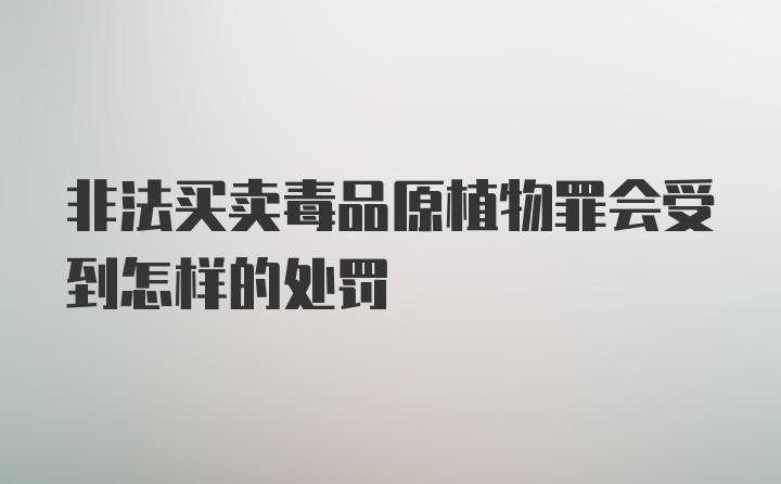 非法买卖毒品原植物罪会受到怎样的处罚