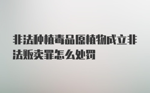 非法种植毒品原植物成立非法贩卖罪怎么处罚