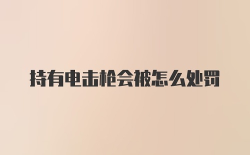 持有电击枪会被怎么处罚