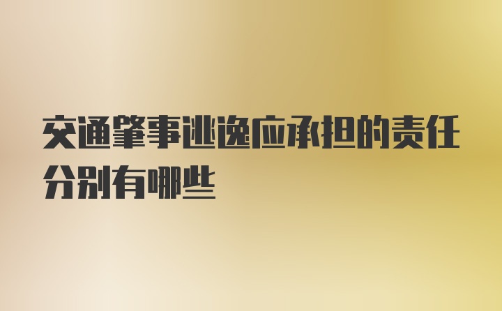 交通肇事逃逸应承担的责任分别有哪些