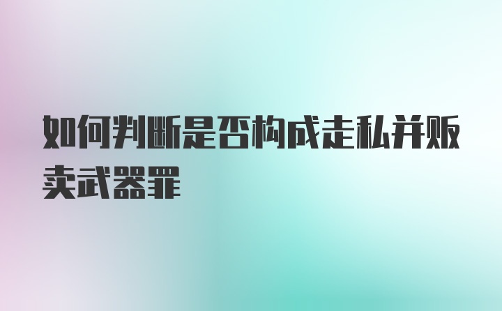 如何判断是否构成走私并贩卖武器罪