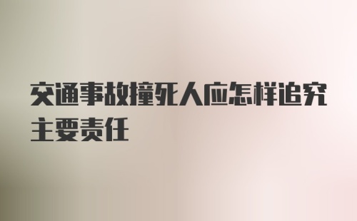 交通事故撞死人应怎样追究主要责任