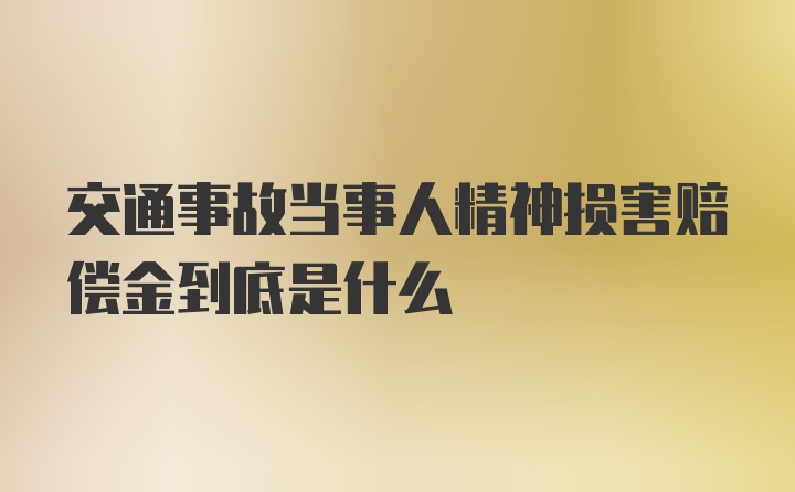 交通事故当事人精神损害赔偿金到底是什么