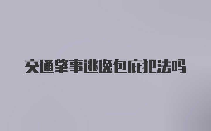 交通肇事逃逸包庇犯法吗