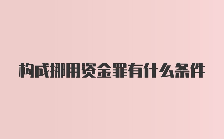 构成挪用资金罪有什么条件