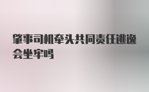 肇事司机牵头共同责任逃逸会坐牢吗