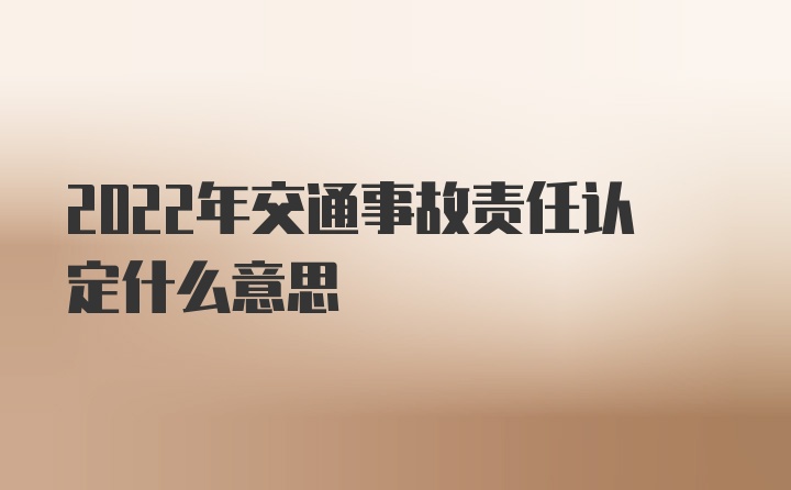 2022年交通事故责任认定什么意思