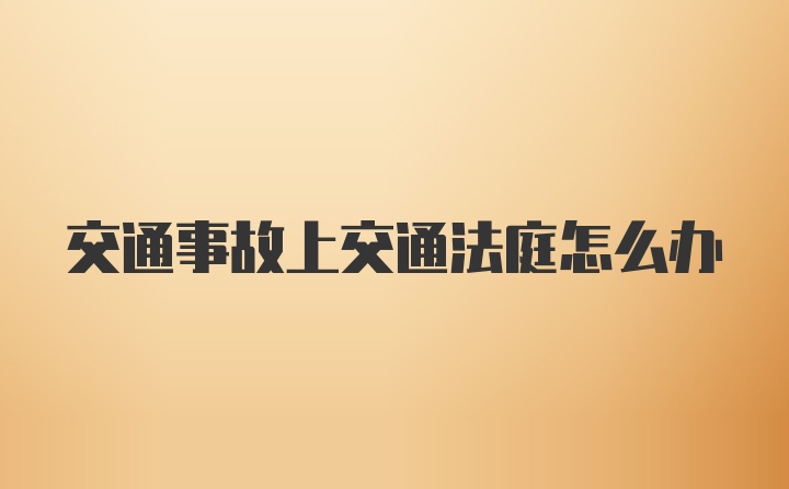 交通事故上交通法庭怎么办