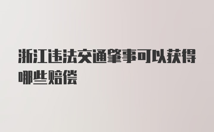 浙江违法交通肇事可以获得哪些赔偿