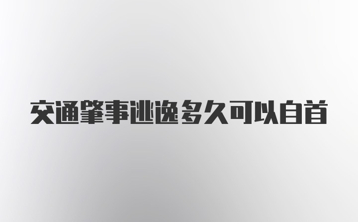 交通肇事逃逸多久可以自首