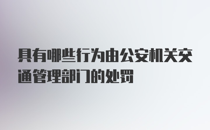 具有哪些行为由公安机关交通管理部门的处罚