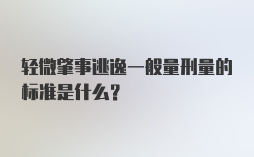 轻微肇事逃逸一般量刑量的标准是什么？