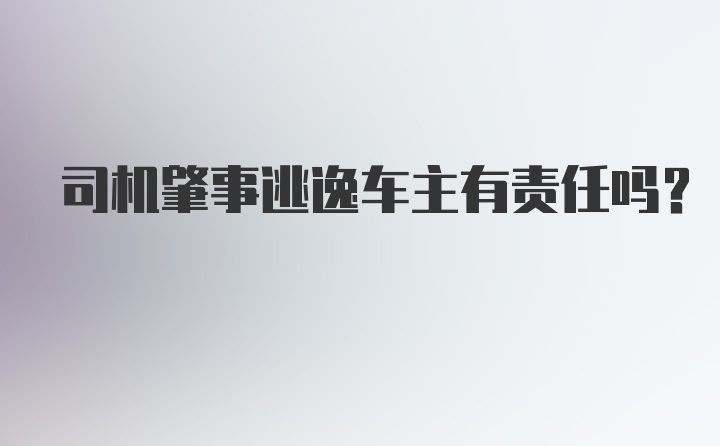 司机肇事逃逸车主有责任吗？