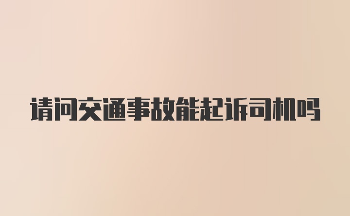 请问交通事故能起诉司机吗