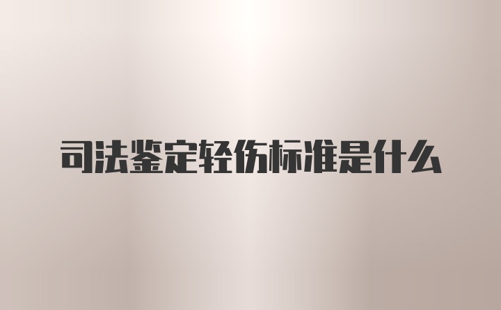 司法鉴定轻伤标准是什么