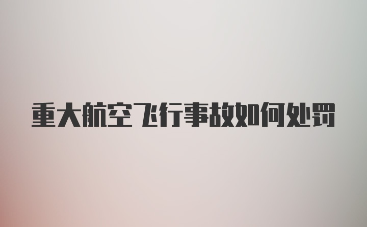 重大航空飞行事故如何处罚