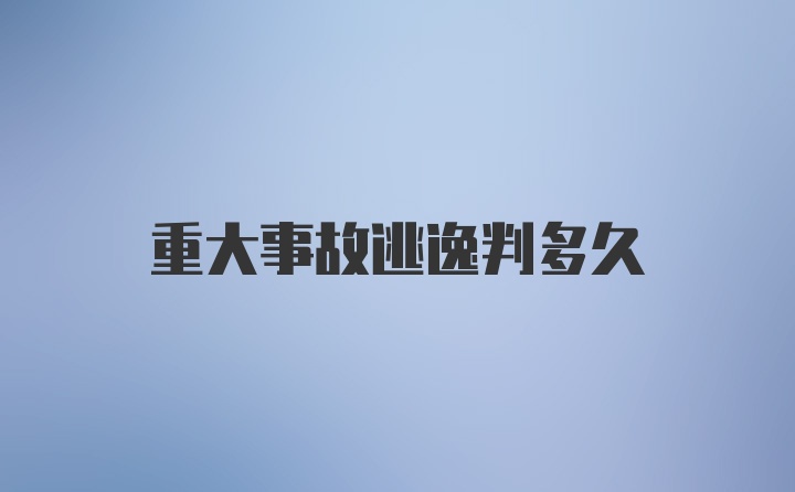 重大事故逃逸判多久