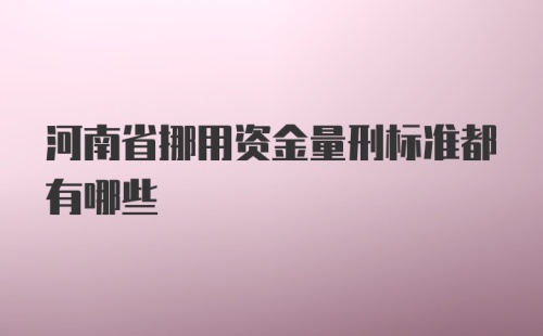 河南省挪用资金量刑标准都有哪些