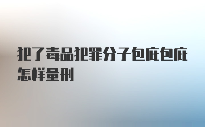 犯了毒品犯罪分子包庇包庇怎样量刑